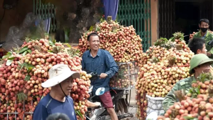 Vietnam Basbakanindan ABD ile Gumruk Vergisi Muzakereleri Talimati