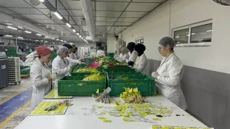 Yalovada Karekod Uygulamasi ile Gida Guvenligi Artiyor