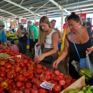 Yillardir konusulan Hal Kanunu taslagi 1 Ekimde Meclise geliyor