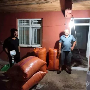 Zonguldakta Yilin Ilk Findik Mahsulu Alindi