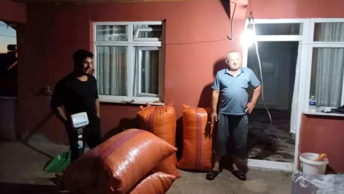 Zonguldakta Yilin Ilk Findik Mahsulu Alindi