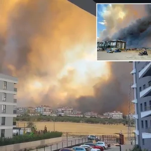 canakkale de orman yangini panige neden oldu 18927511 1489 amp