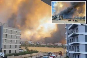 canakkale de orman yangini panige neden oldu 18927511 1489 amp