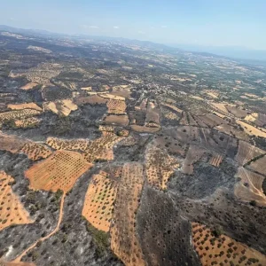 canakkale deki orman yanginlari kontrol altina 18931059 7459 amp