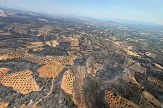 canakkale deki orman yanginlari kontrol altina 18931059 7459 amp
