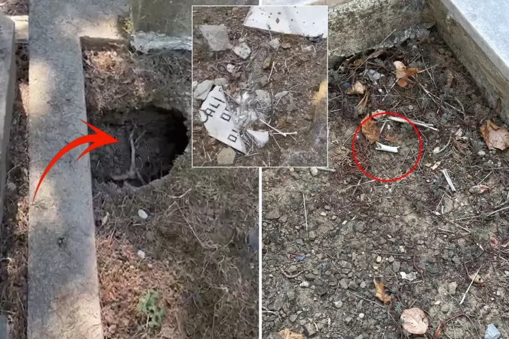 istanbul un gobegindeki mezarlikta isyan ettiren 18931369 7720 amp