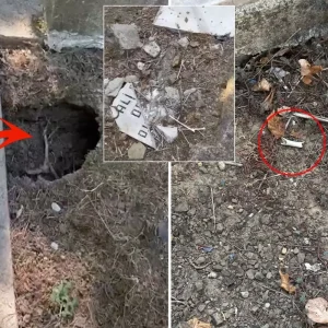 istanbul un gobegindeki mezarlikta isyan ettiren 18931369 7720 amp