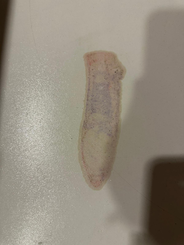 KYK yurduyla ilgili bir skandal iddia daha! Yurt müdüründen şok sözler