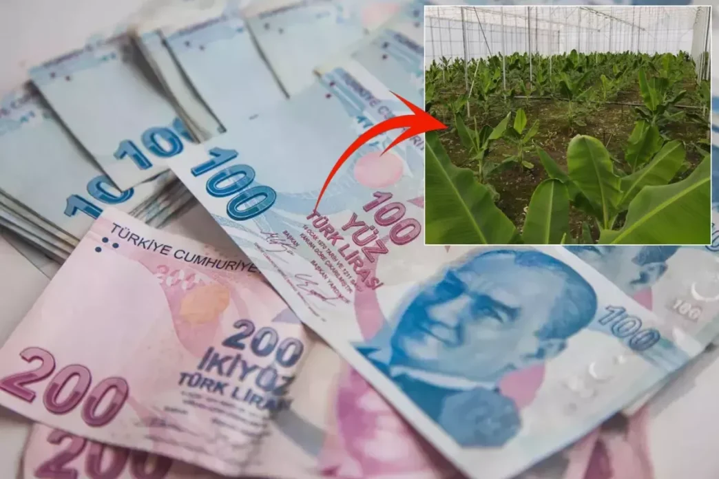 2019 da cektigi kredi ile hayati degisti aylik 19058096 6290 amp