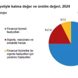 2024 Yilinda Mali Araci Kuruluslarda Onemli Artislar