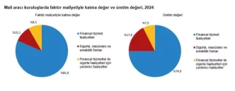 2024 Yilinda Mali Araci Kuruluslarda Onemli Artislar