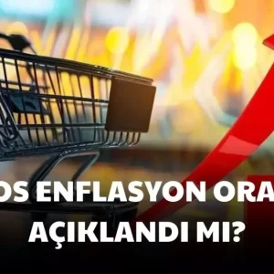 2025 agustos enflasyon orani aciklandi mi 19008305 2777 amp