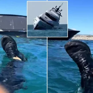 45 milyonluk yat 15 dakika batti suya atlayarak kurtulan sahis