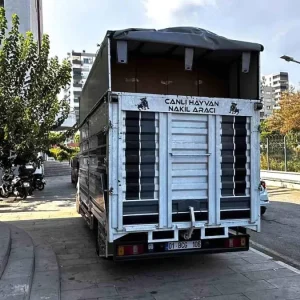 Adanada 30 Milyon Liralik Kacak Sigara Operasyonu