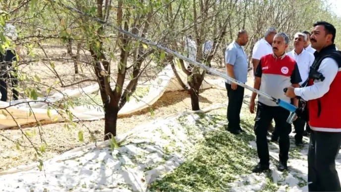 Adiyamanda Badem Hasat Senligi Coskuyla Kutlandi
