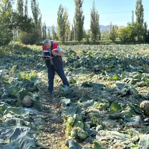 Afyonkarahisarda Tarim Urunleri Kontrolleri Devam Ediyor