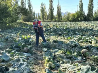 Afyonkarahisarda Tarim Urunleri Kontrolleri Devam Ediyor