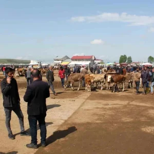 Agri Canli Hayvan Borsasi 10 Eylulde Yeniden Aciliyor
