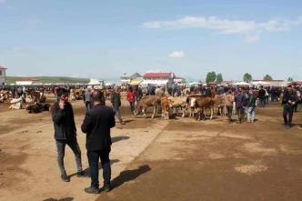 Agri Canli Hayvan Borsasi 10 Eylulde Yeniden Aciliyor