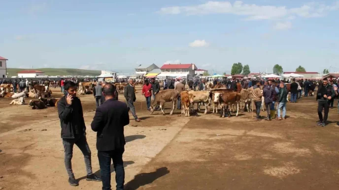 Agri Canli Hayvan Borsasi 10 Eylulde Yeniden Aciliyor