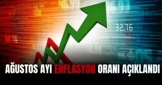 Agustos ayi enflasyon verileri 2025 Agustos ayi enflasyon orani yuzde