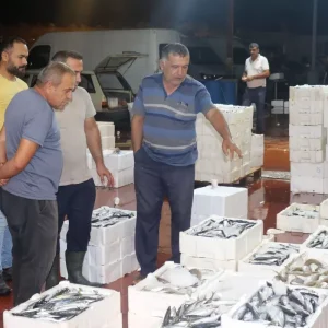 Akdenizde Balik Avi Sezonu Basladi