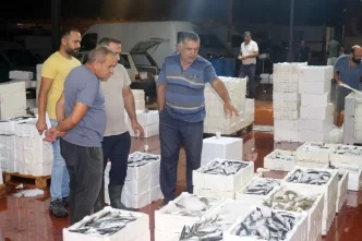 Akdenizde Balik Avi Sezonu Basladi