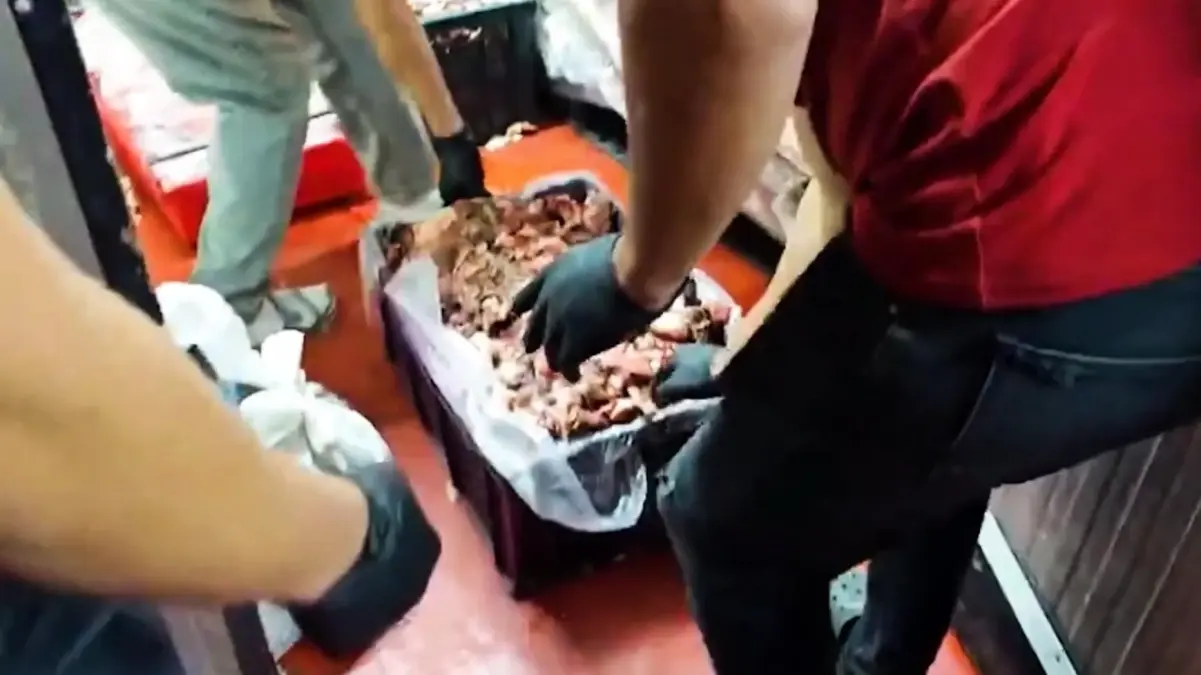Ankarada Gida Denetimlerinde Uygunsuzluk Tespiti 1316 Kilogram Urun Imha Edildi