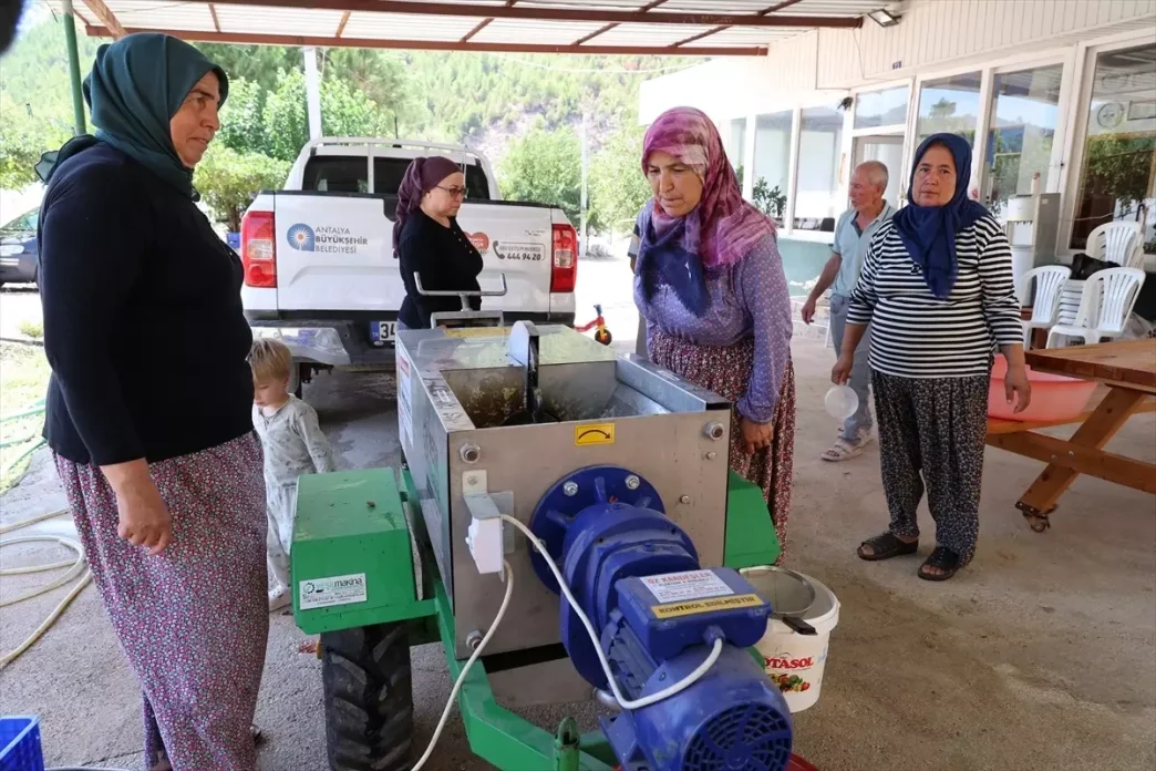 Antalyada Uzum Hasadi Icin Ucretsiz Sikma Makinesi Destegi