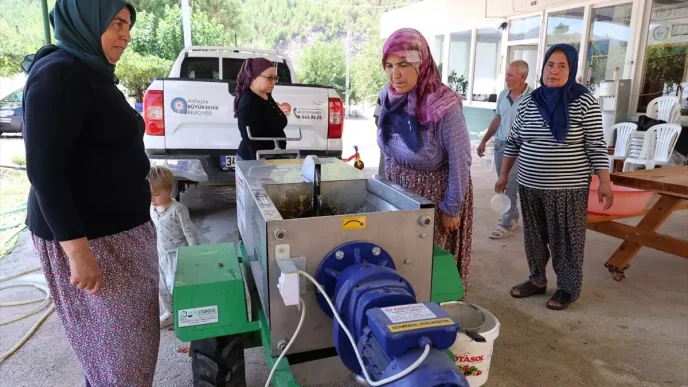 Antalyada Uzum Hasadi Icin Ucretsiz Sikma Makinesi Destegi