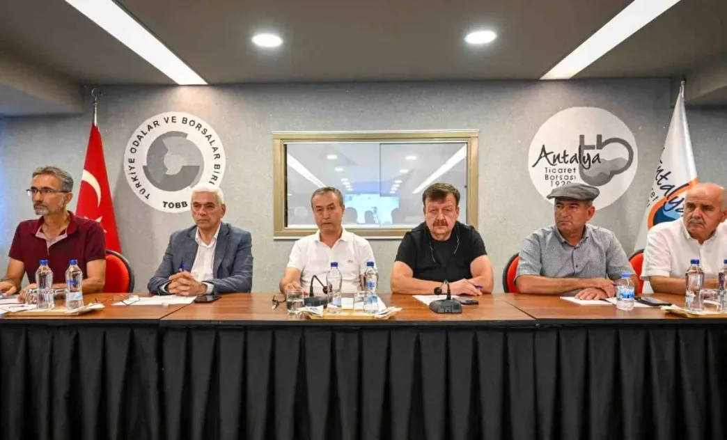 Antalyada Zeytin ve Zeytinyagi Sektor Analiz Toplantisi Duzenlendi