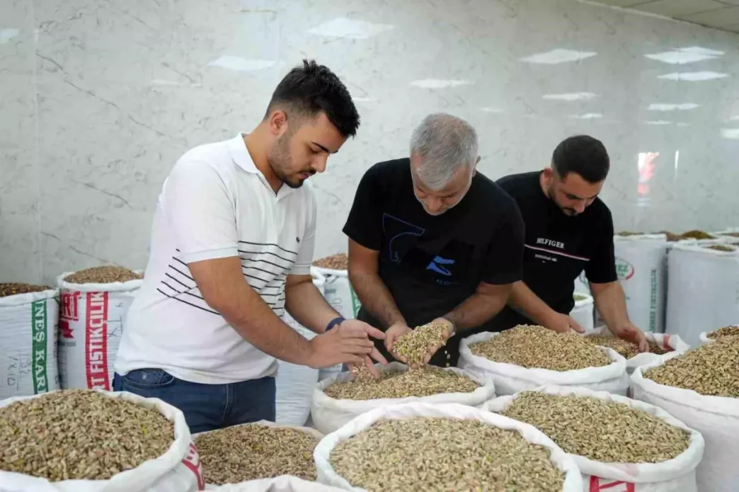 Antep fistigina ithalat izni cikicinca fiyatlar ve satislar dustu
