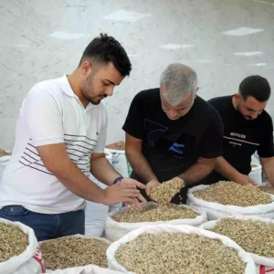 Antep fistigina ithalat izni cikicinca fiyatlar ve satislar dustu