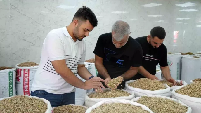 Antep fistigina ithalat izni cikicinca fiyatlar ve satislar dustu