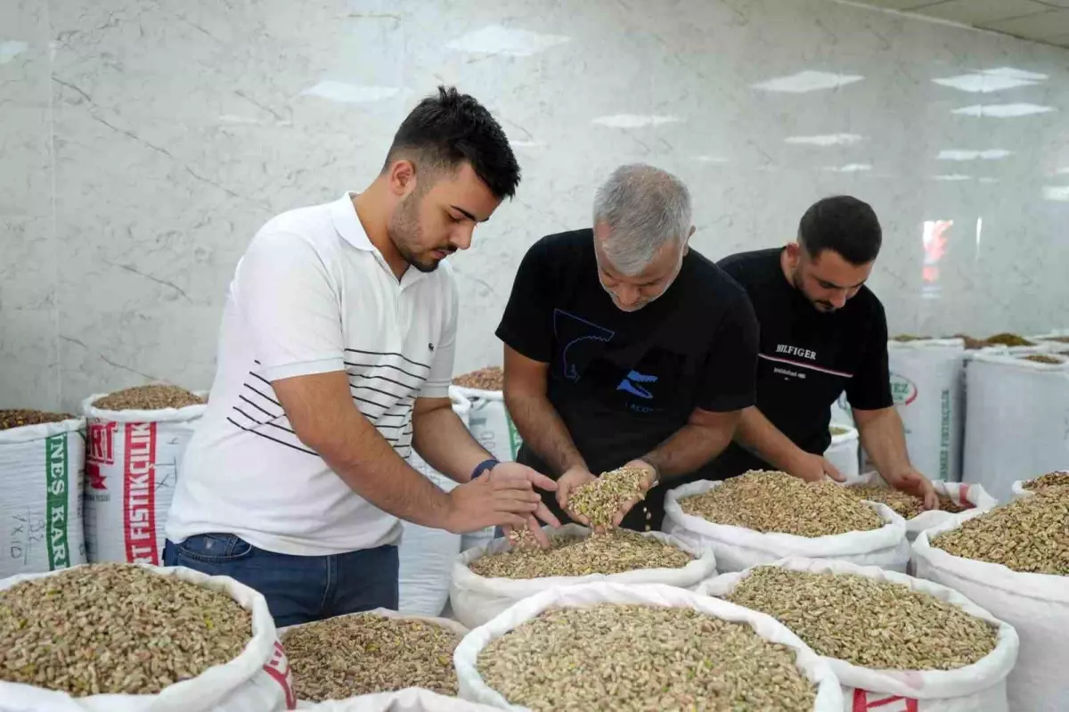 Antep fistigina ithalat izni cikicinca fiyatlar ve satislar dustu