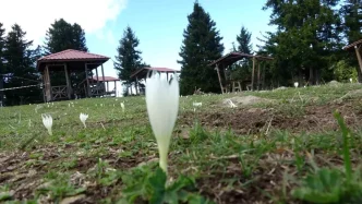 Arap Turistlerin Yogun Ilgi Gosterdigi Yaylalarda Turizm Sezonu Sona Erdi