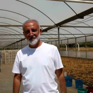 Aydin Incir Ureticileri Birligi Kurma Hazirliginda