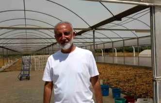 Aydin Incir Ureticileri Birligi Kurma Hazirliginda