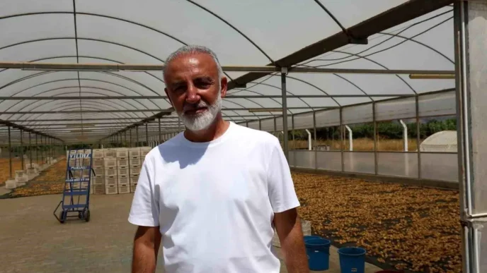 Aydin Incir Ureticileri Birligi Kurma Hazirliginda