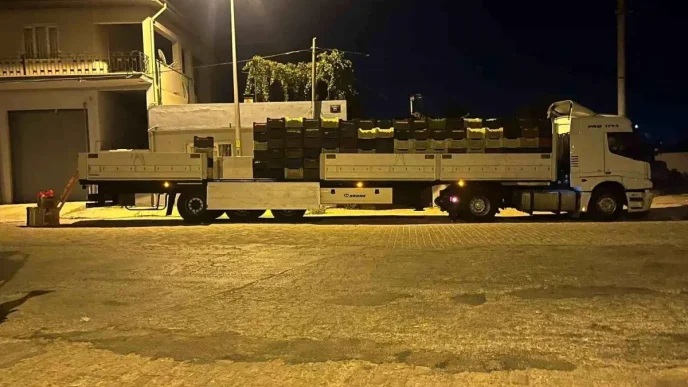 Aydinda Bamya Sezonu Canlaniyor Genc Girisimci Ekonomiye Katkida Bulunuyor