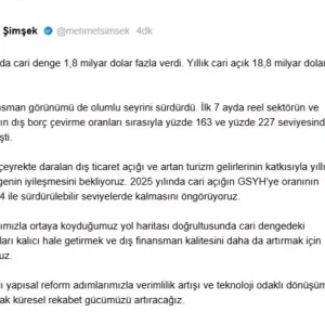 Bakan Simsek Cari Dengede Iyilesme Bekleniyor