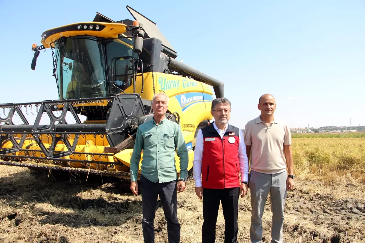 Bakan Yumakli Halkimizin pirinc ihtiyacinin yuzde 72sini kendi topraklarimizda uretiyoruz