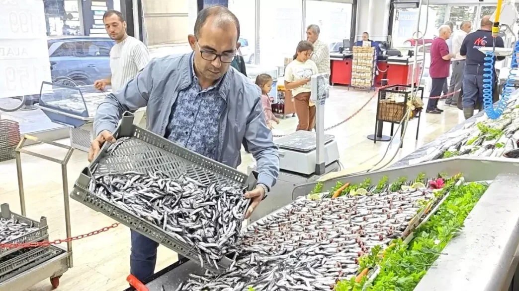 Balik Sezonu Acildi 30dan Fazla Cesit Tezgahlarda