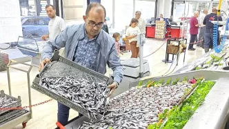 Balik Sezonu Acildi 30dan Fazla Cesit Tezgahlarda