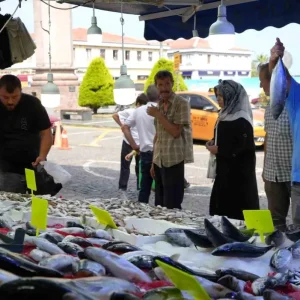 Balikcilar Hamsi Icin Soguk Havayi Bekliyor