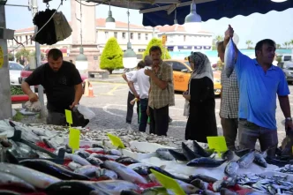 Balikcilar Hamsi Icin Soguk Havayi Bekliyor
