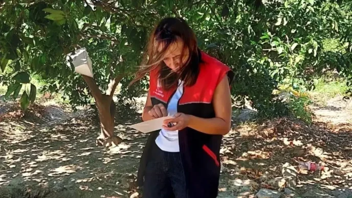 Balikesirde Akdeniz Meyve Sinegi Uyarisi Ureticilere Ilaclama Tavsiyesi