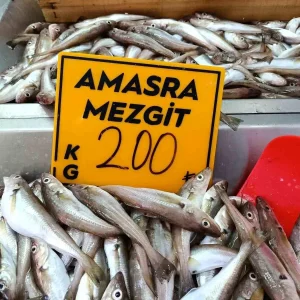 Bartinda Mezgit Sezonu Basladi Palamut Icin Bekleyis Suruyor