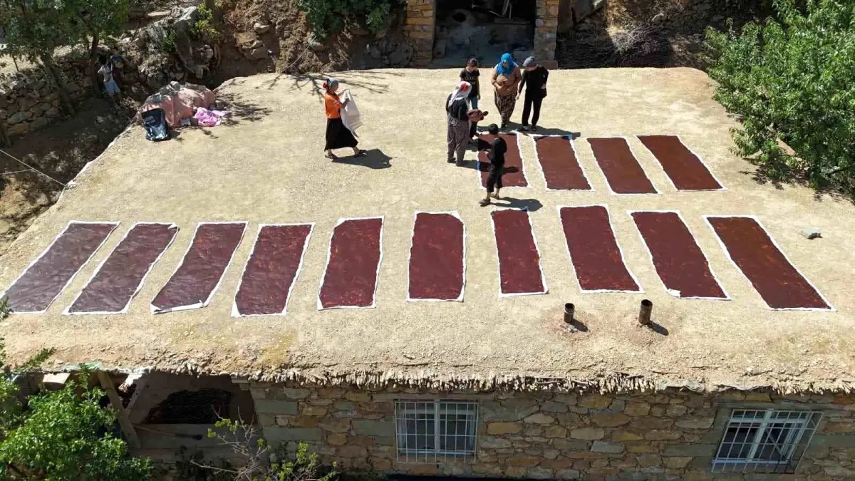 Batmanin Gunluce Koyunde Siyah Uzum Hasadi ve Geleneksel Urunler