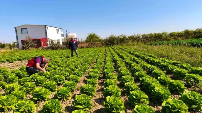 Beysehirde Meyve ve Sebze Bahceleri Siki Takipte